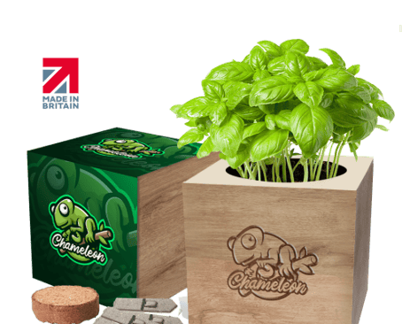 Desktop-Cube-Gardens-Example-Artwork-GKS-021-Engraved-1-495x400