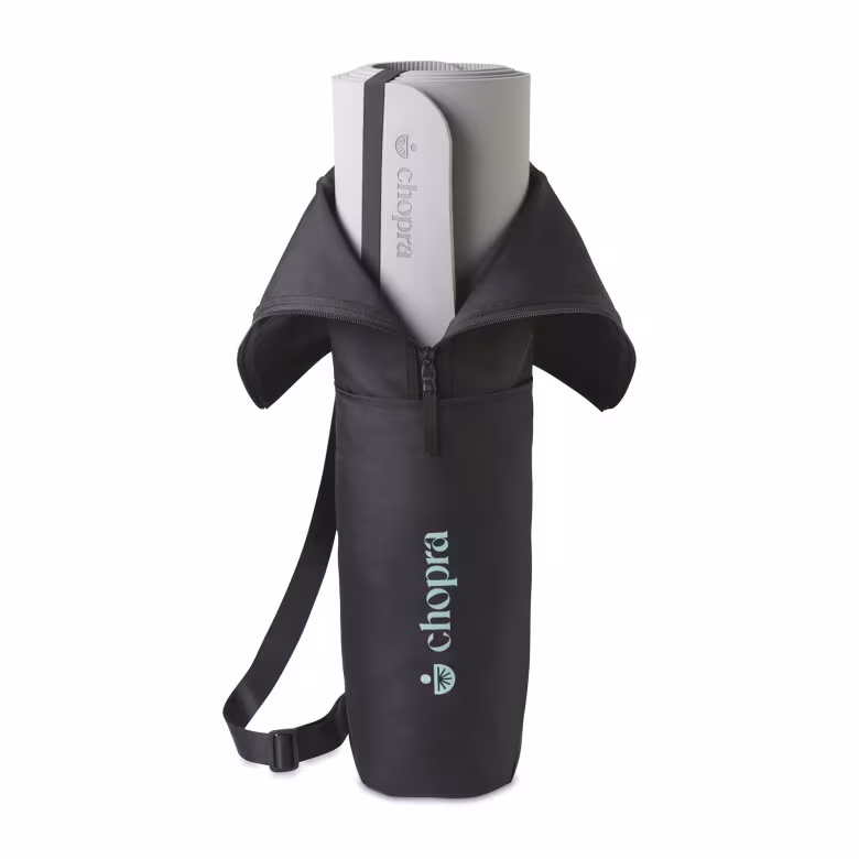 renditionDownload (8)